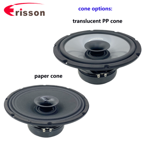 6.5 морской динамик