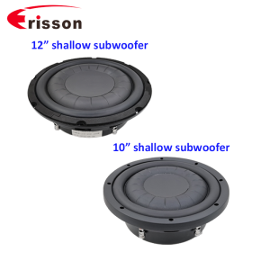 Встроенный в потолок динамик